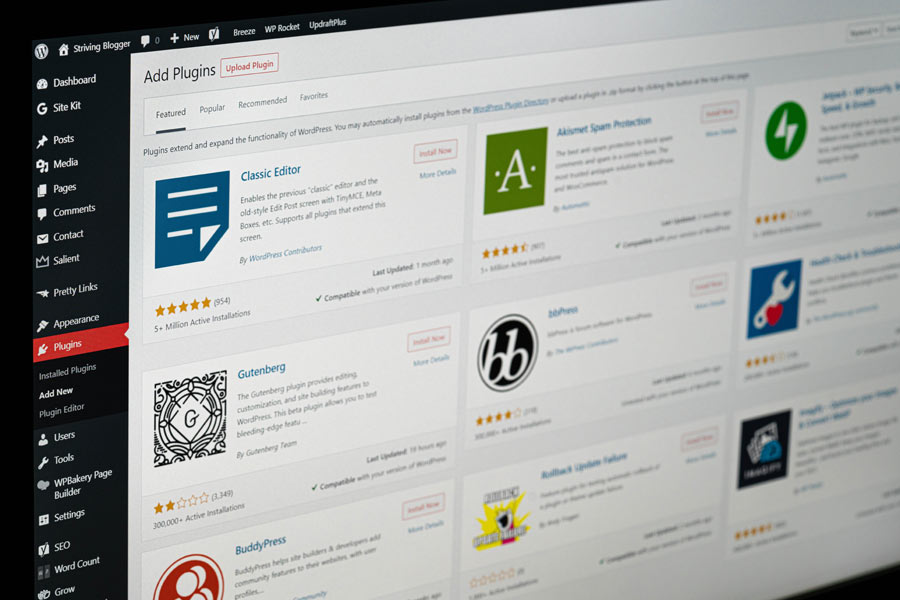 WordPress-Website Design