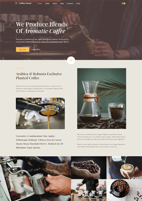 Coffee-Shop Web Design